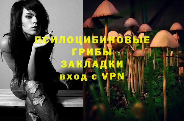 ГАЛЛЮЦИНОГЕННЫЕ ГРИБЫ Алзамай
