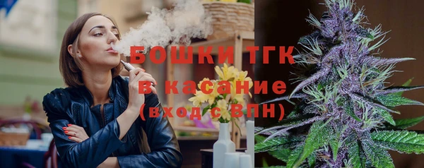 ГАЛЛЮЦИНОГЕННЫЕ ГРИБЫ Алзамай