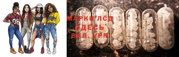 ГАЛЛЮЦИНОГЕННЫЕ ГРИБЫ Алзамай