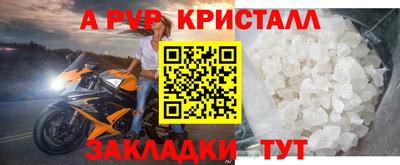 ПСИЛОЦИБИНОВЫЕ ГРИБЫ Гатчина