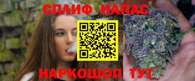 apvp Гагарин