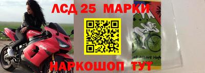 ПСИЛОЦИБИНОВЫЕ ГРИБЫ Гатчина