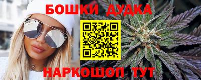 не бодяженный Гай
