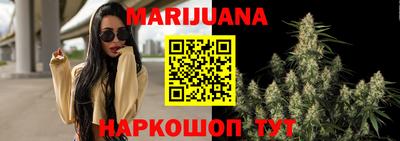 не бодяженный Гай