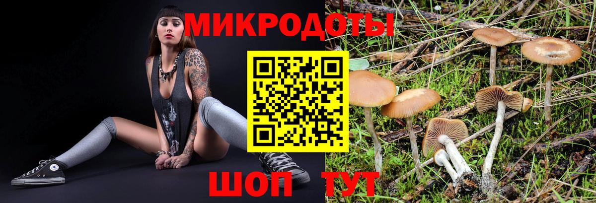 Псилоцибиновые грибы Cubensis Набережные Челны